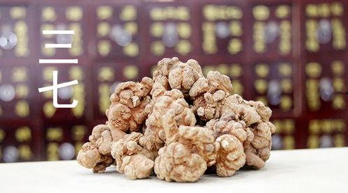 中药三七视频,神奇中药的神奇功效与使用方法揭秘