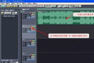 录音视频,录音视频内容精粹概述