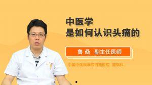 中医学视频,传统智慧与现代生活的完美融合