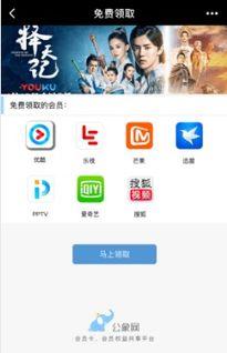 小视频网站免费,揭秘小视频网站免费内容背后的魅力