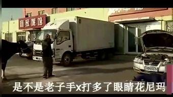 汽车配牛视频