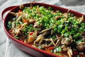 跳水蛙的做法视频,轻松掌握水上飞人技巧